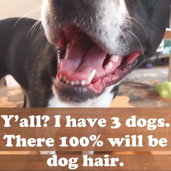 Perfect Ruffle Dress - Picture 8 of 8